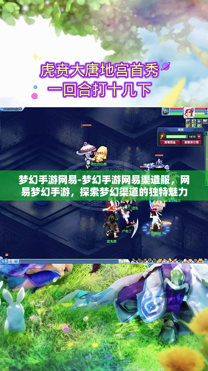 梦幻手游网易-梦幻手游网易渠道服，网易梦幻手游，探索梦幻渠道的独特魅力